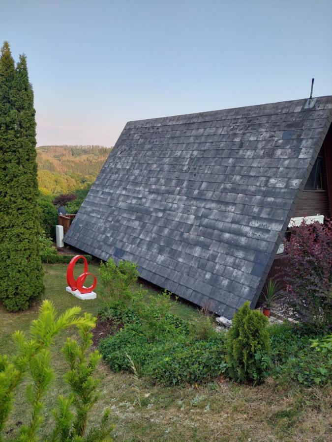 Haus Am See Willingen Willingen  Luaran gambar