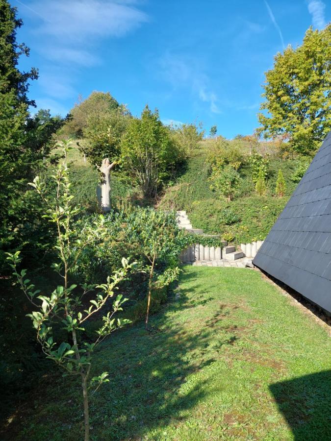Haus Am See Willingen Willingen  Luaran gambar