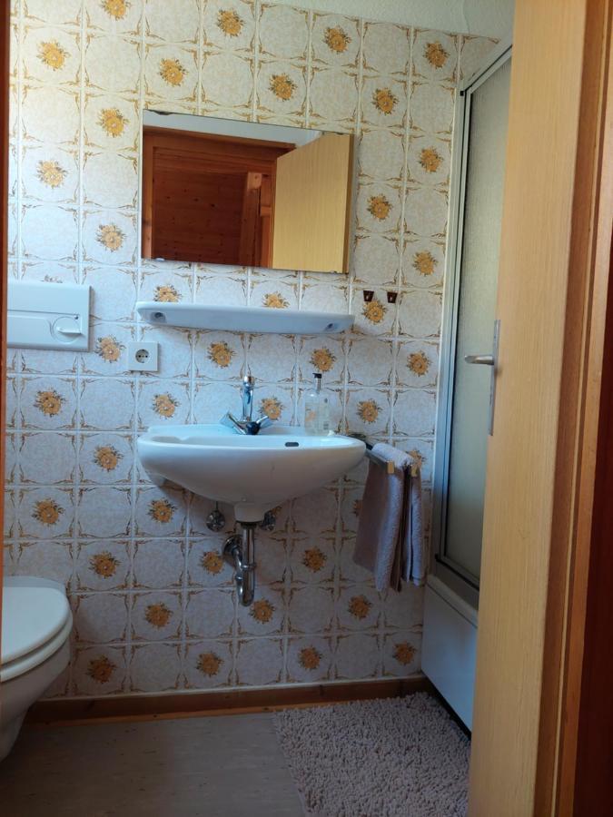 Haus Am See Willingen Willingen  Luaran gambar