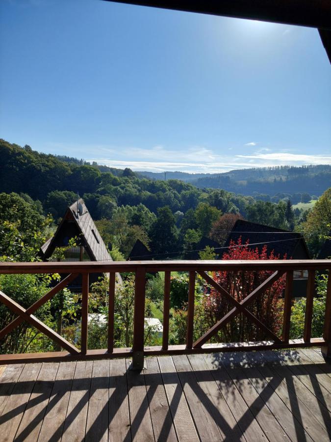 Haus Am See Willingen Willingen  Luaran gambar