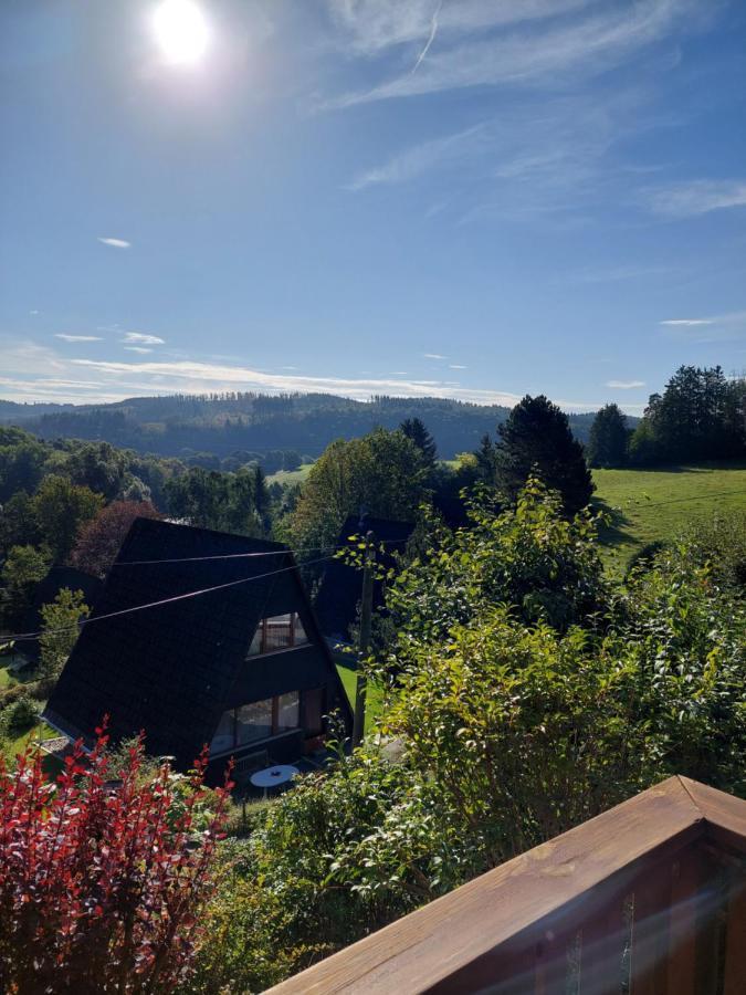 Haus Am See Willingen Willingen  Luaran gambar