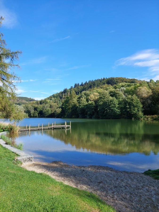 Haus Am See Willingen Willingen  Luaran gambar