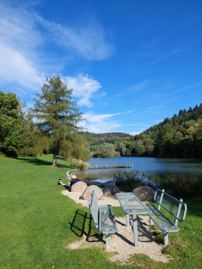 Haus Am See Willingen Willingen  Luaran gambar