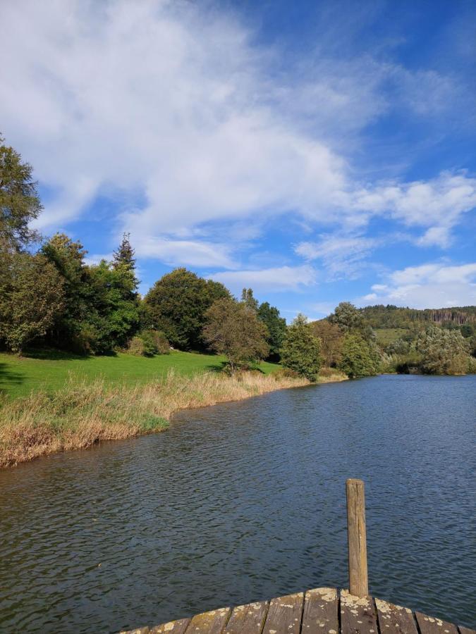 Haus Am See Willingen Willingen  Luaran gambar