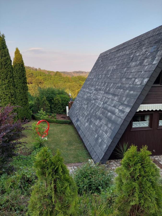 Haus Am See Willingen Willingen  Luaran gambar